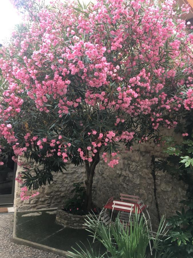 Chambre Sur Jardin Secret - Avignon Centre - Climatisee מראה חיצוני תמונה